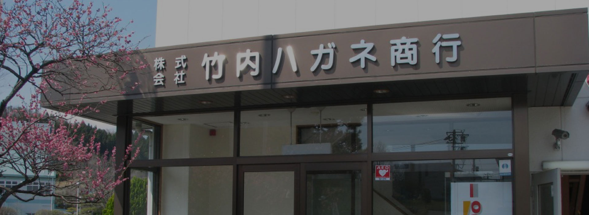 企業概要