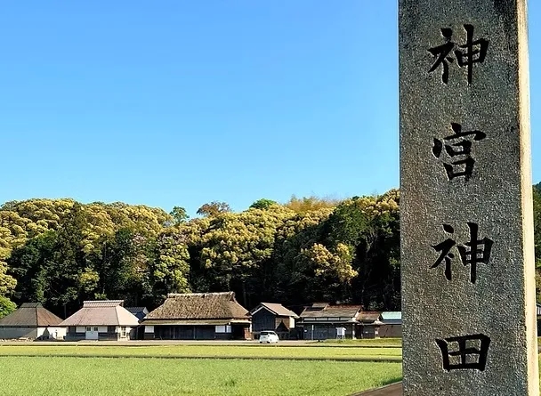 神様のお米